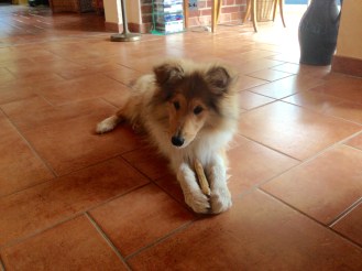 DA9EE06F-FB3A-4DDB-944B-BB4543C719E2