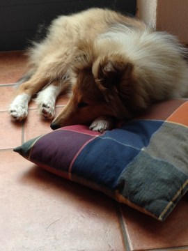 FF74AE15-48EA-4D4C-8A7A-07ECE7E3513A