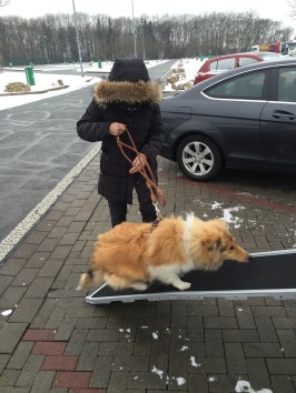 E101C66A-7BF3-470B-B68A-D93DF2C9492C